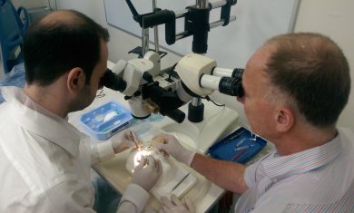 Clinical Courses